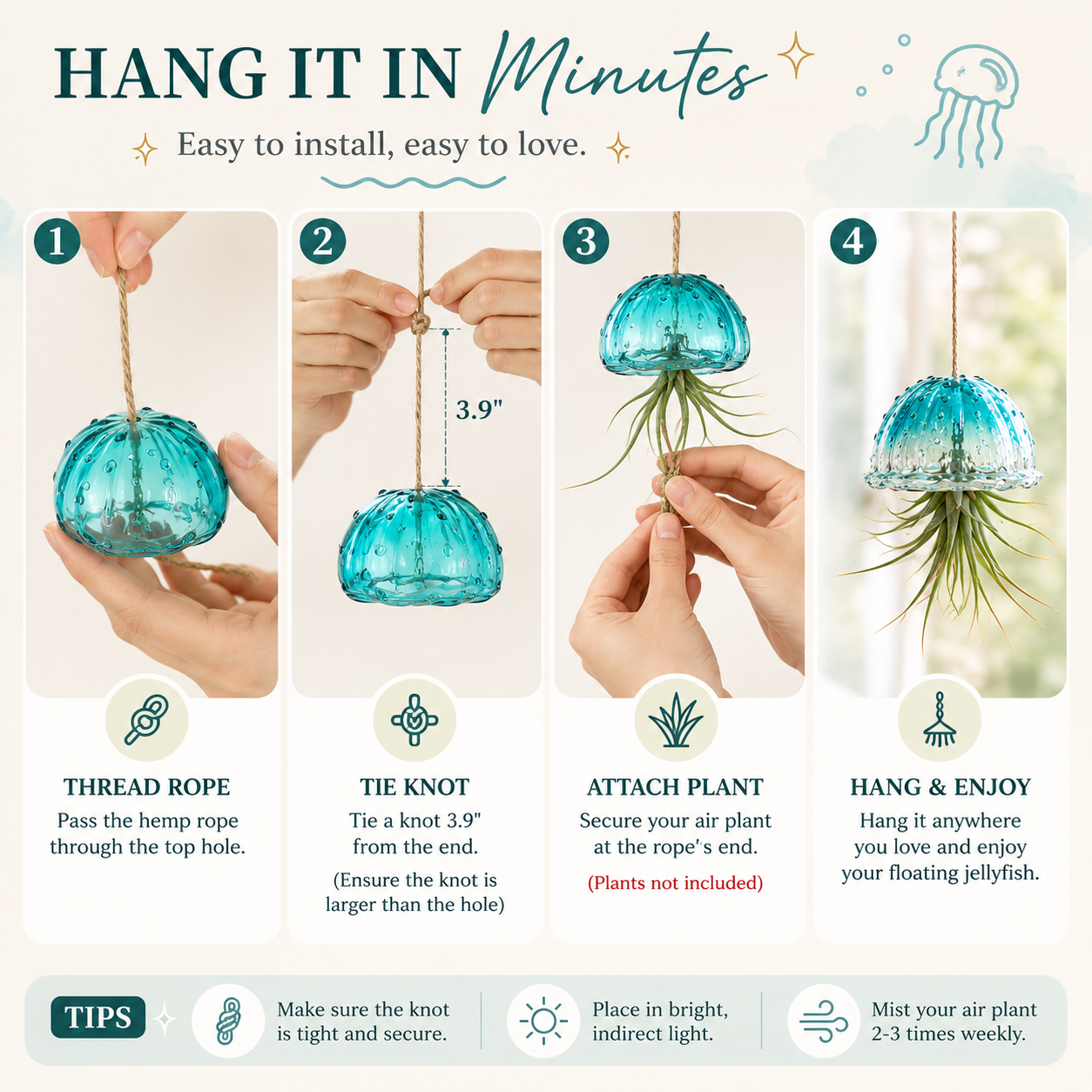 ✨ Handmade Jellyfish Glass Air Plant Holders | Ocean-Inspired Hanging Decor