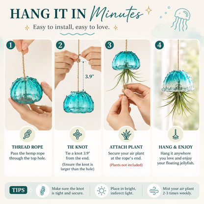 ✨ Handmade Jellyfish Glass Air Plant Holders | Ocean-Inspired Hanging Decor