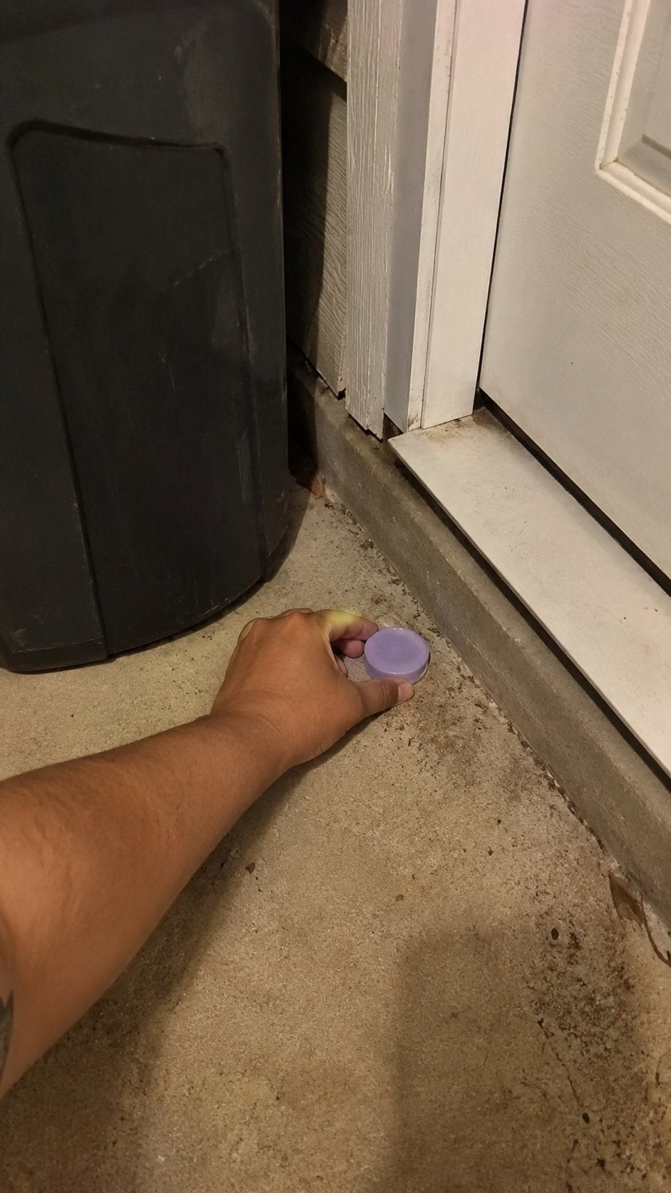 All-Natural Peppermint & Cinnamon Pest & Rodent Repellent Pucks
