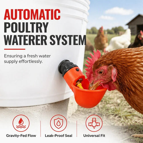 📍Gravity-Fed Automatic Chicken Waterer Cups