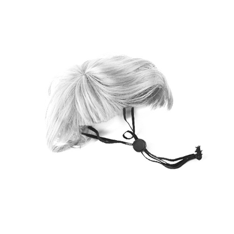 Cute Short Hair Wig Pet Headband, Funny Pet Wig Hair Accessories for Dogs & Cats