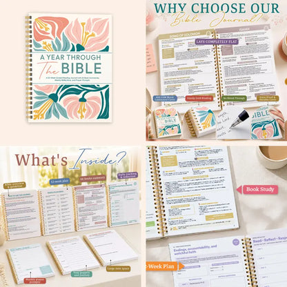 Understand Every Book 📖 66-Book Bible Study Guide & Devotional Journal