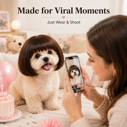 Cute Short Hair Wig Pet Headband, Funny Pet Wig Hair Accessories for Dogs & Cats
