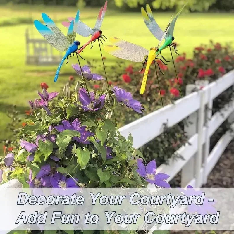 🪷 Realistic Dragonfly Clips