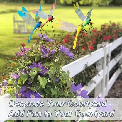 🪷 Realistic Dragonfly Clips
