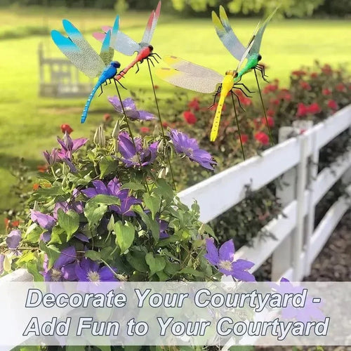 🪷 Realistic Dragonfly Clips