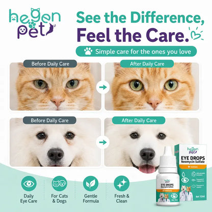 🐾 Hegen Pet Neomycin Sulfate Eye Drops – 10ml Eye Care for Dogs & Cats