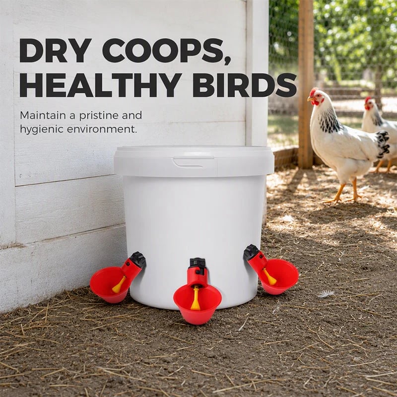 📍Gravity-Fed Automatic Chicken Waterer Cups