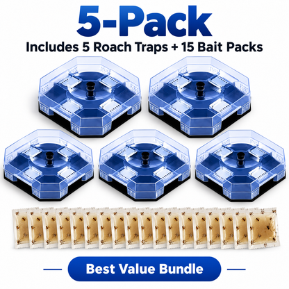 🪳 50% OFF Reusable Roach Trap – Catch Crawling Pests Without Spraying