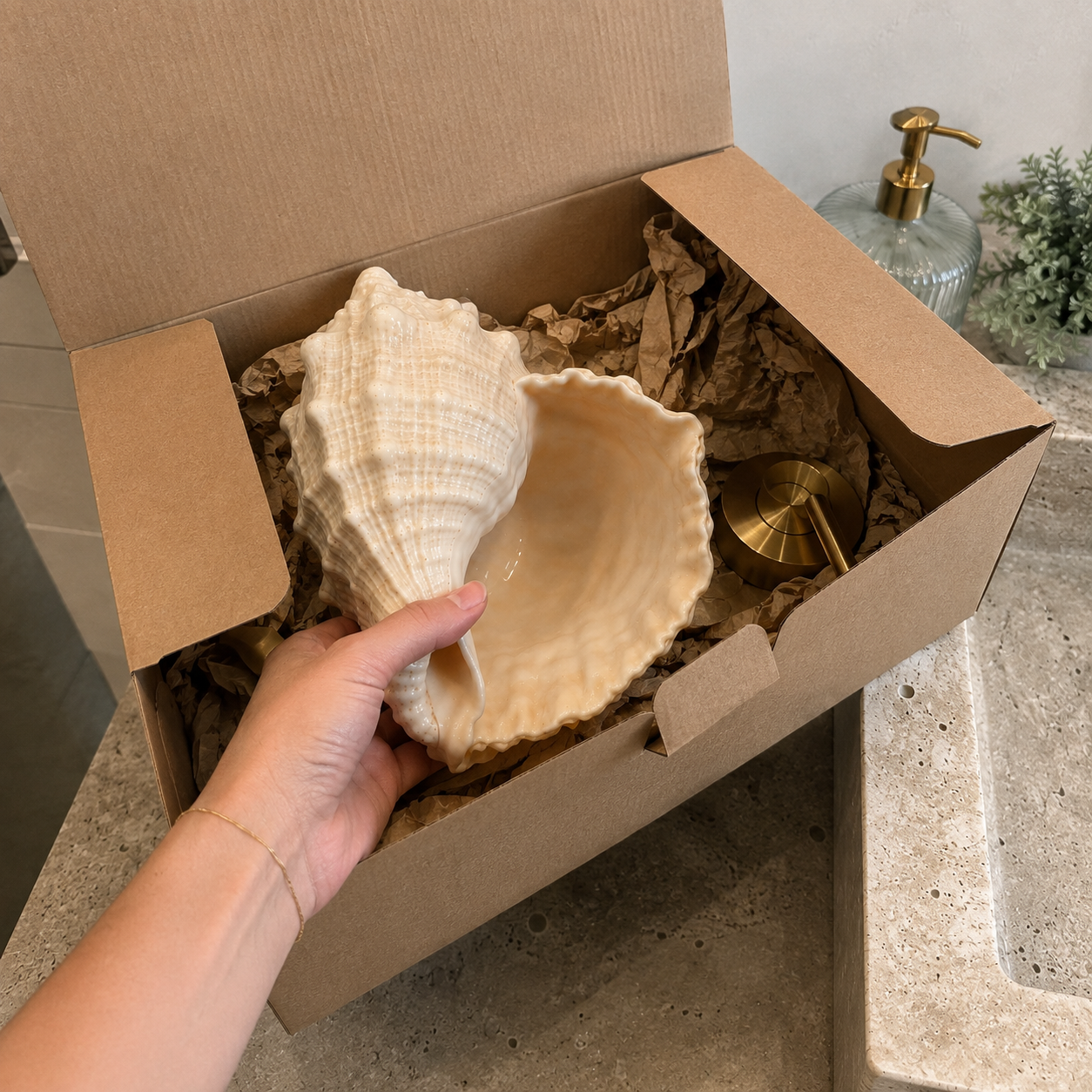 🐚Coastal Seashell Wall-Mount Faucet