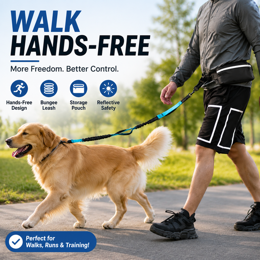 Hands Free Dog Leash With Pouch | Running & Walking Dog Leash