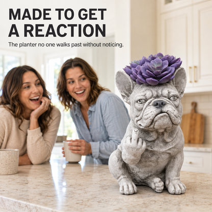 🪴 Funny Bulldog Planter with Attitude – 3 Sassy Styles