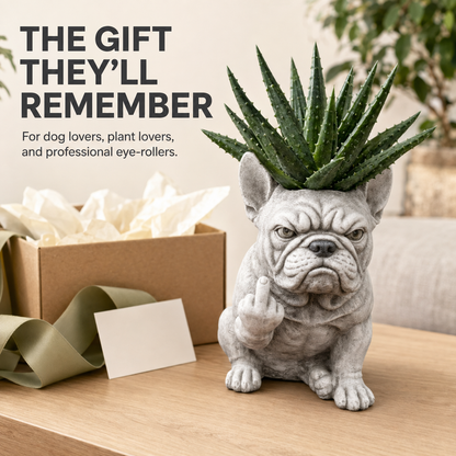 🪴 Funny Bulldog Planter with Attitude – 3 Sassy Styles
