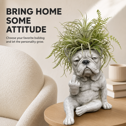 🪴 Funny Bulldog Planter with Attitude – 3 Sassy Styles