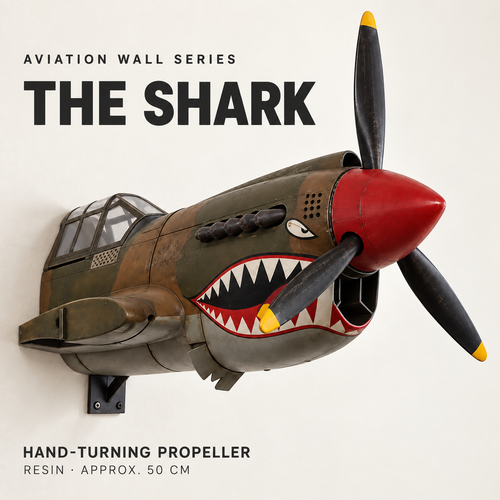 ✈️ 3D Aircraft Wall Sculpture – 20″ Resin Aviation Decor