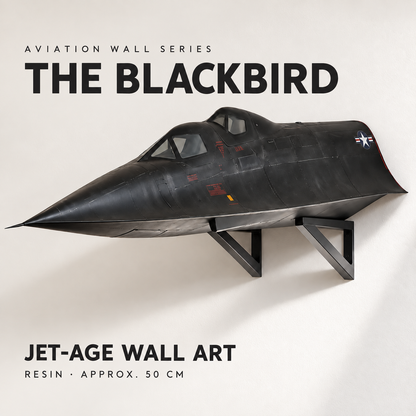 ✈️ 3D Aircraft Wall Sculpture – 20″ Resin Aviation Decor