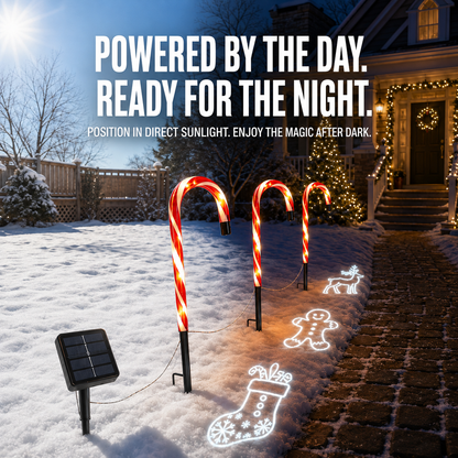 Solar Candy Cane Projector Pathway Lights – Light the Way to Christmas 🎄