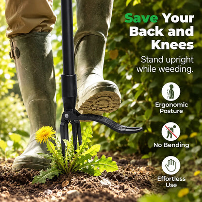 FloraFixer | Transform your garden into an oasis!