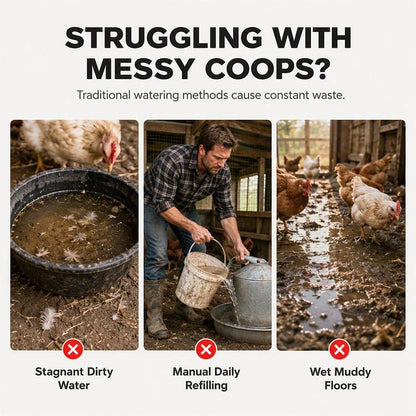 📍Gravity-Fed Automatic Chicken Waterer Cups