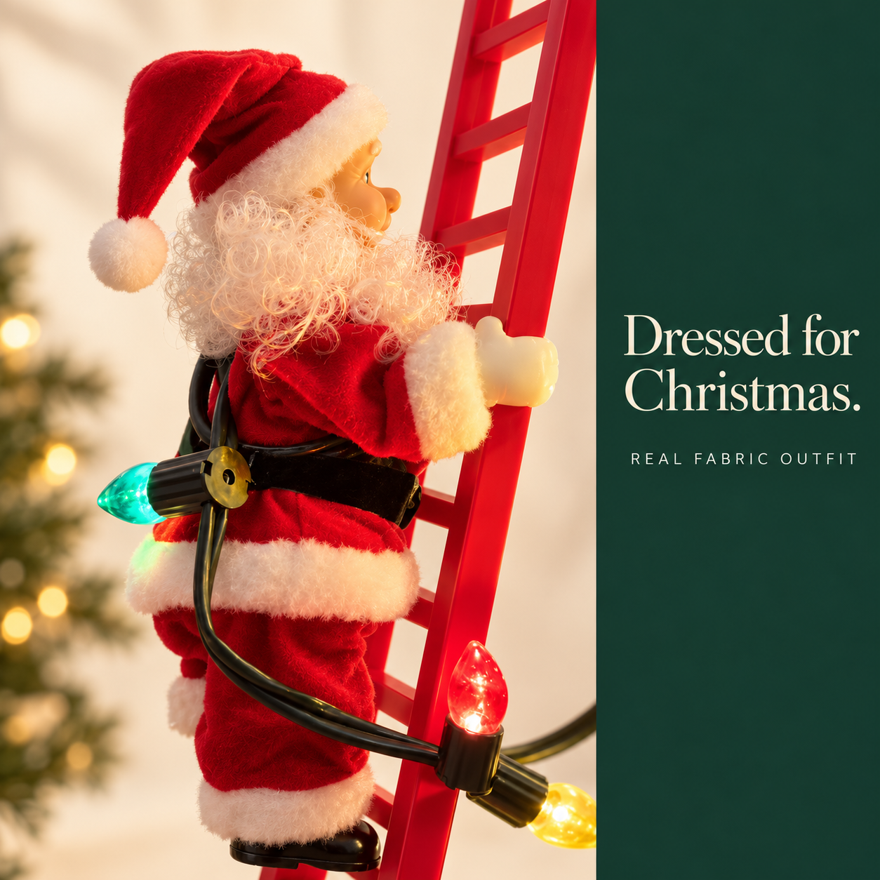 Close-up of Santa's red fabric outfit and white trim